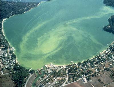 An arial view of the Lake with a large green spiraling algae formation.