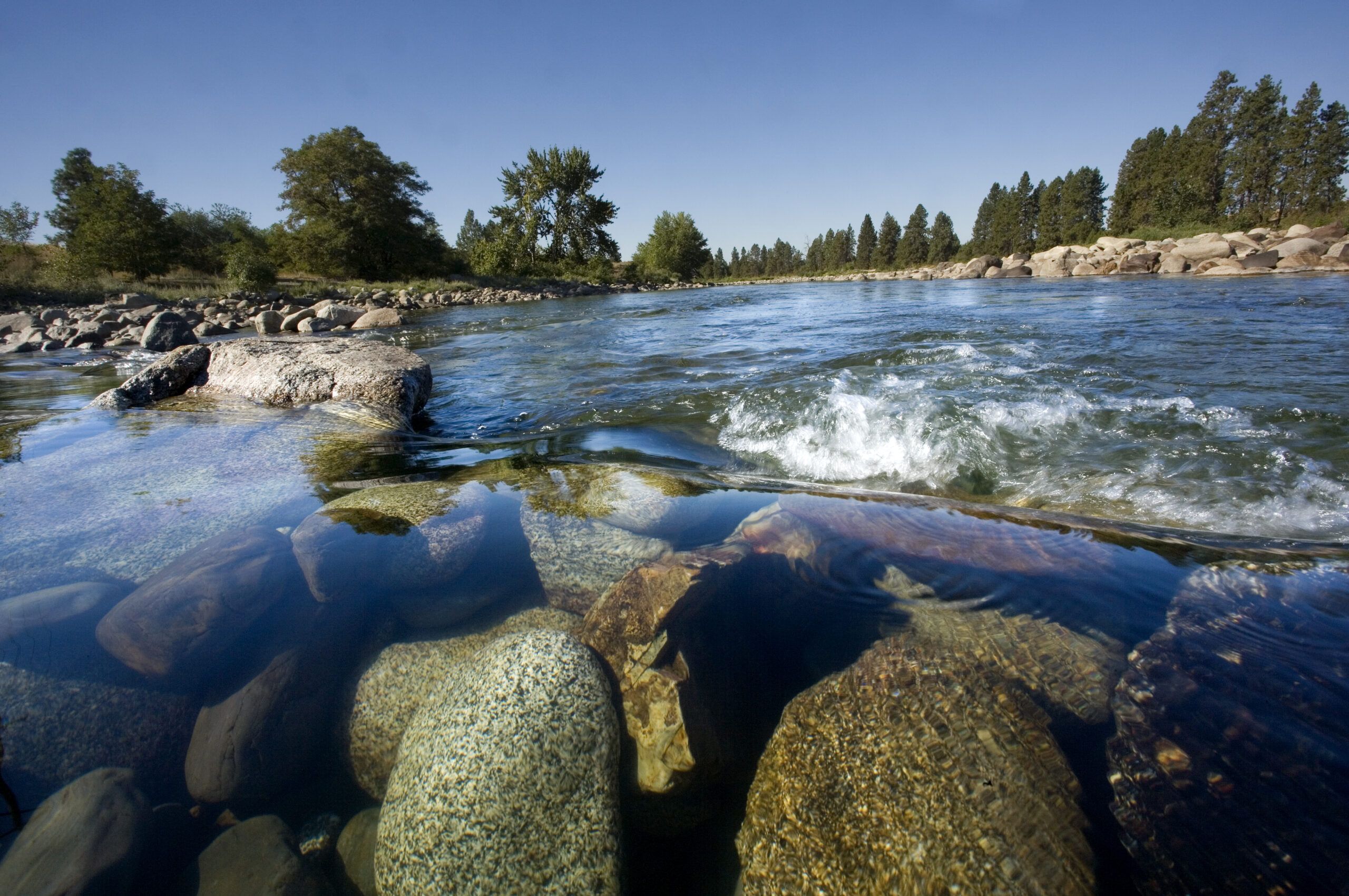 Clear river water flows over rounded stones, with rocks visible beneath the surface in the foreground, and trees lining both banks under a clear blue sky.